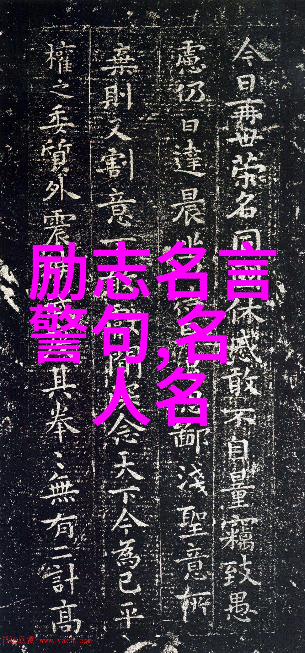 几米经典语录智慧的芥末生活的调味剂