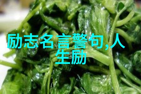 神马影院dy888午夜mmn深度探索解密网络电影文化的新篇章