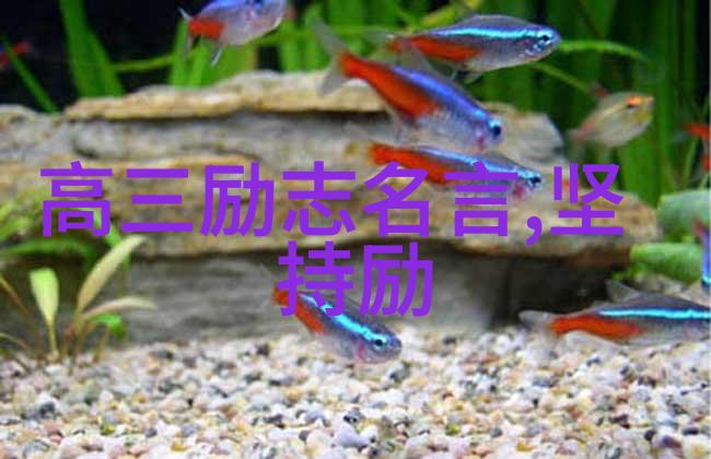爱可儿的秘密花园奇幻童话般的绿意盎然私人乐园