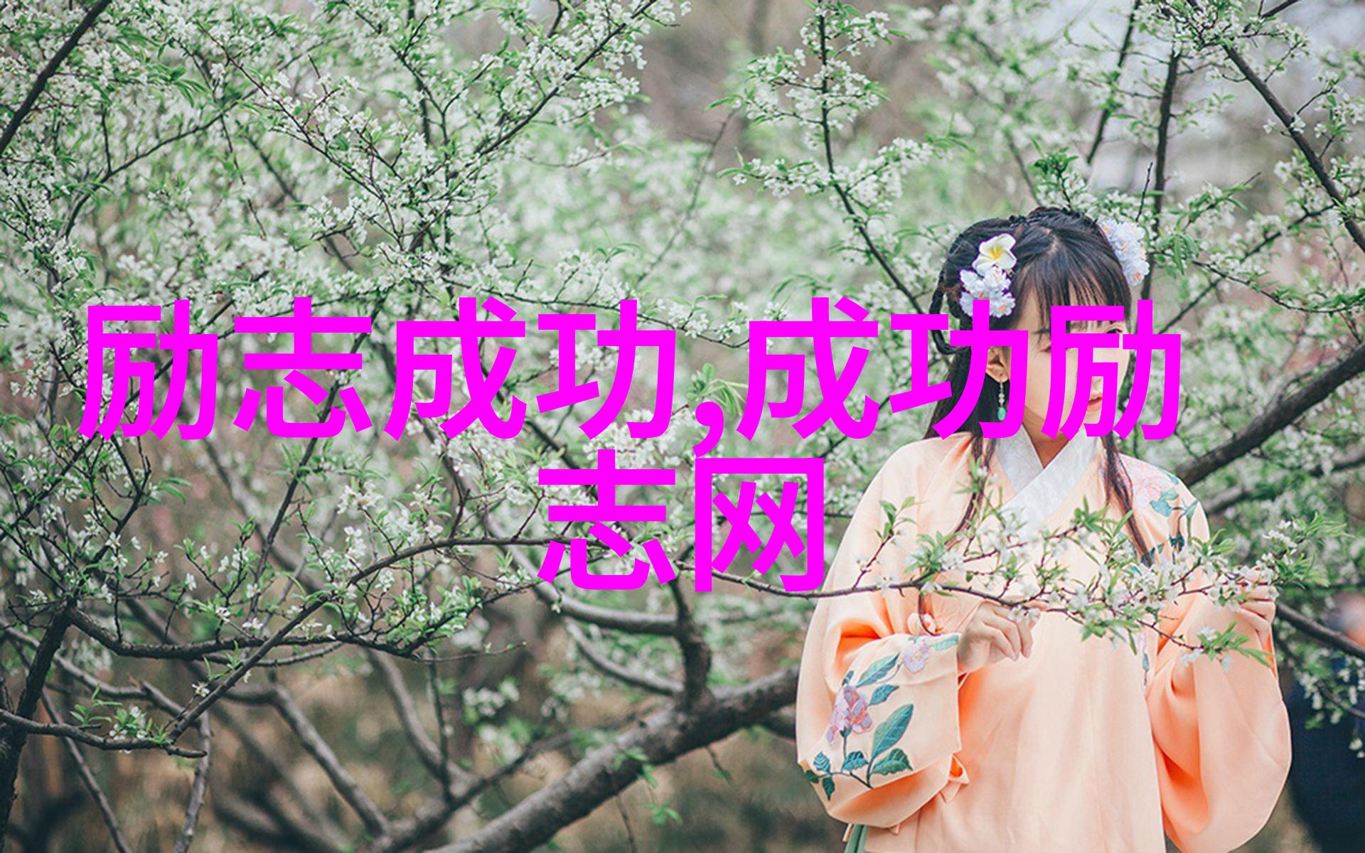 桃花扇明末书生逆袭的传奇