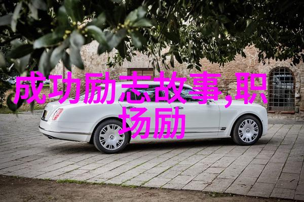女的回你是我如何以情感挽回文案的艺术与技巧来回应男生的魅力掌握这门艺术你就能成为每个女性心目中的完美