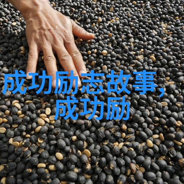 我成了灰姑娘的恶毒继姐从玻璃鞋到黑暗心灵