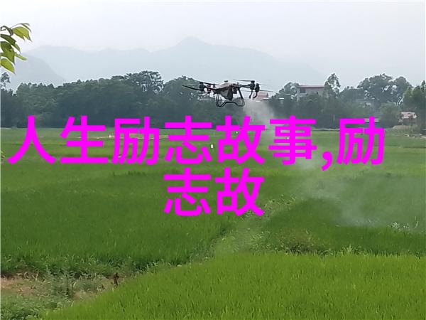 种子之父的传奇生涯袁隆平的成长史