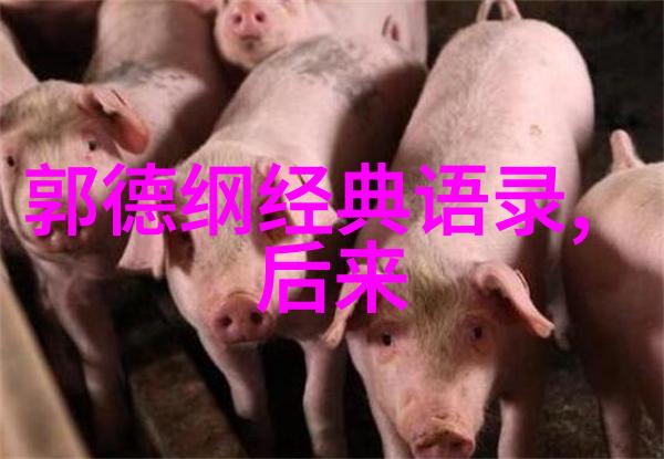中国因你而美探索国土之美的每一个角落