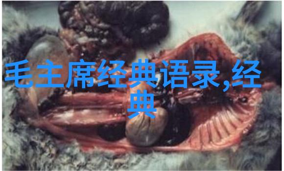 传统文化中的爱情宣言有何特点是否适用于现代恋人