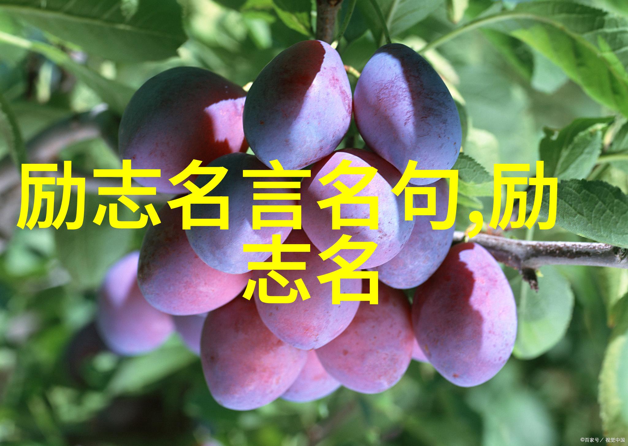 逆袭的力量李雷如何从一名普通教师成为全国教育先进个人