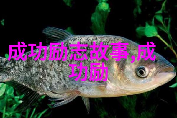 情侣之间的爱河之旅避开那些让浪漫情话变成雷区的禁忌才能在恩爱的海洋中共享甜蜜时光
