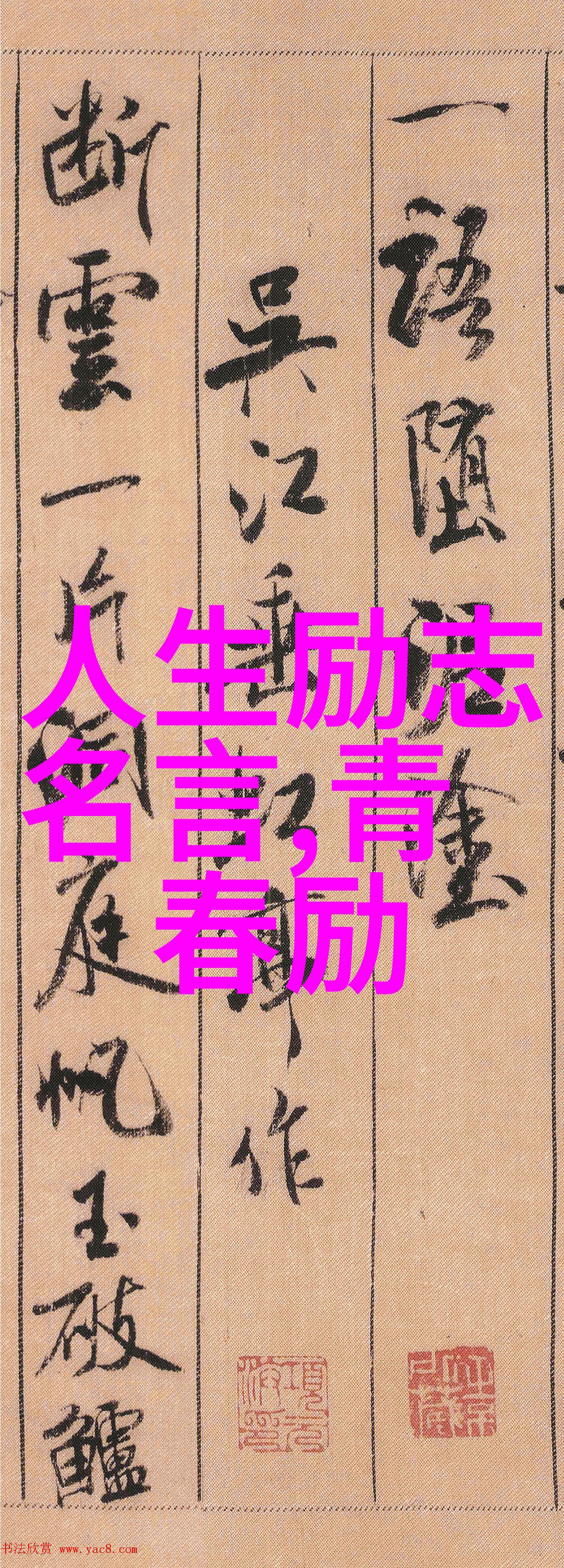 每一步都向前小熊探险者的人生历程