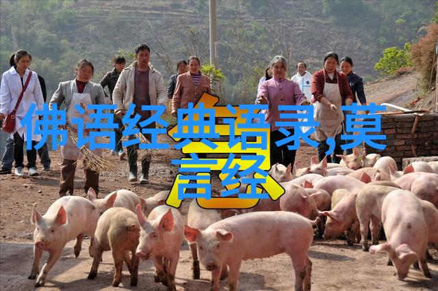 激发潜能一分钟内的力量提升