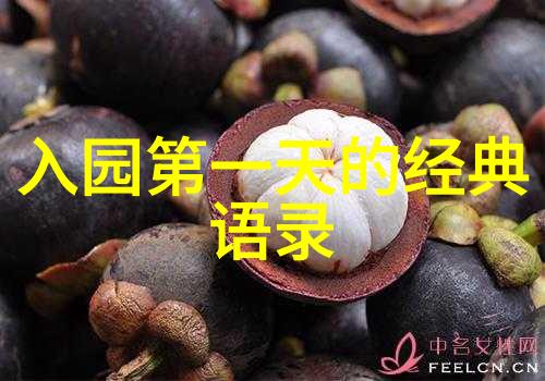 青春启示录致青春经典语录的力量与感动
