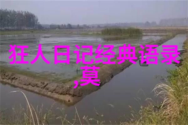 哲理励志故事我的人生导航器