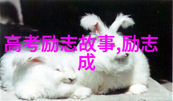 红旗下的空军英雄林彪与遥控战斗机