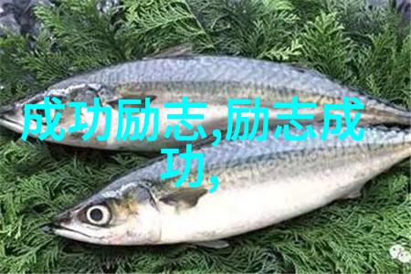 京东集团首席执行官刘强东活出一个京东传递正能量的人物事迹