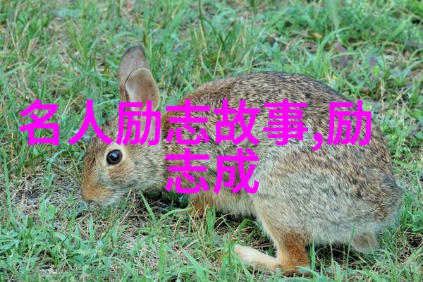 高情商微信撩妹聊天记录如何在物品的触感中找到男生的心动点