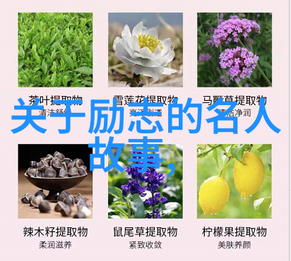 激励人心的金句致敬那些铭记在心的励志名言