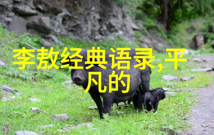 濮存昕永不止步的梦想之旅者
