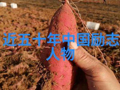 文化名人-经典智慧杨绛的书香与人生哲学