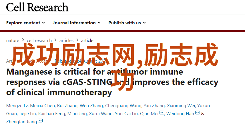 情感心理咨询师的微信搭讪技巧让你的聊天如同温柔的晨曦轻触她的心扉