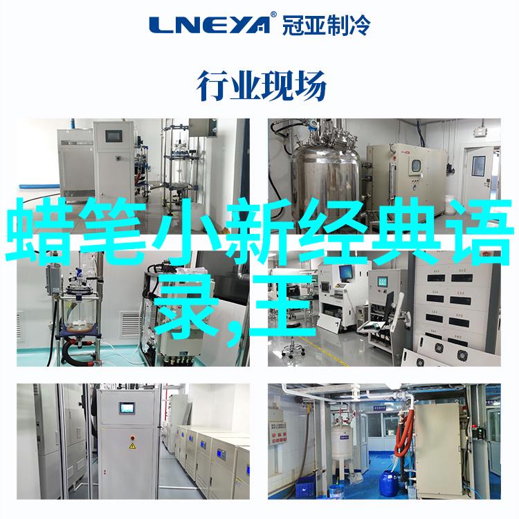 林肯楷模的智慧与勇气