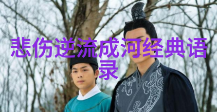 空间个性日志网吵架后体会得最深的情感语录通用四十八条关于物品的反思与成长