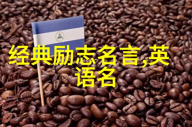 从零到英雄现代名人奋斗故事的精彩篇章