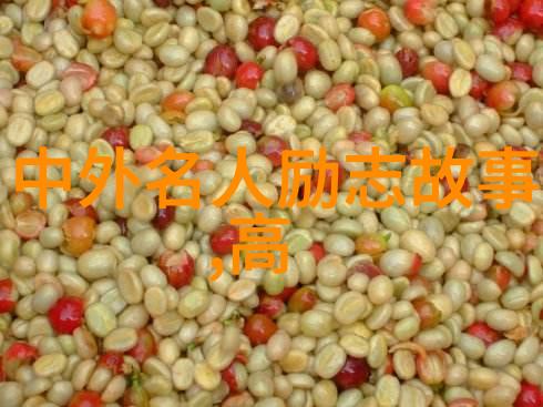 尹明善47岁创业致富的中外励志小故事在社会的舞台上绽放