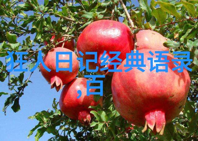 逆袭的少年从街头小贩到成功企业家