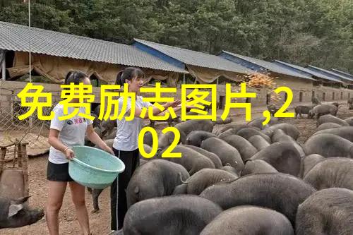 针对乡村生活中的困难他们又是如何找到共同的解决办法