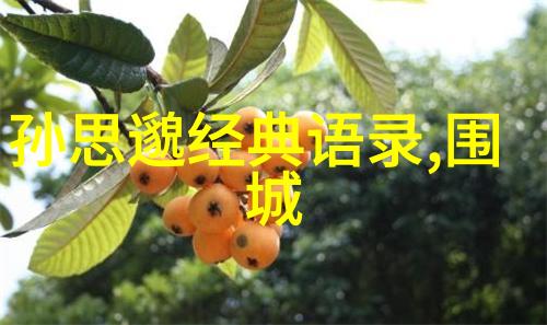 家庭大杂乱经典语录家中的每一天都是新的冒险
