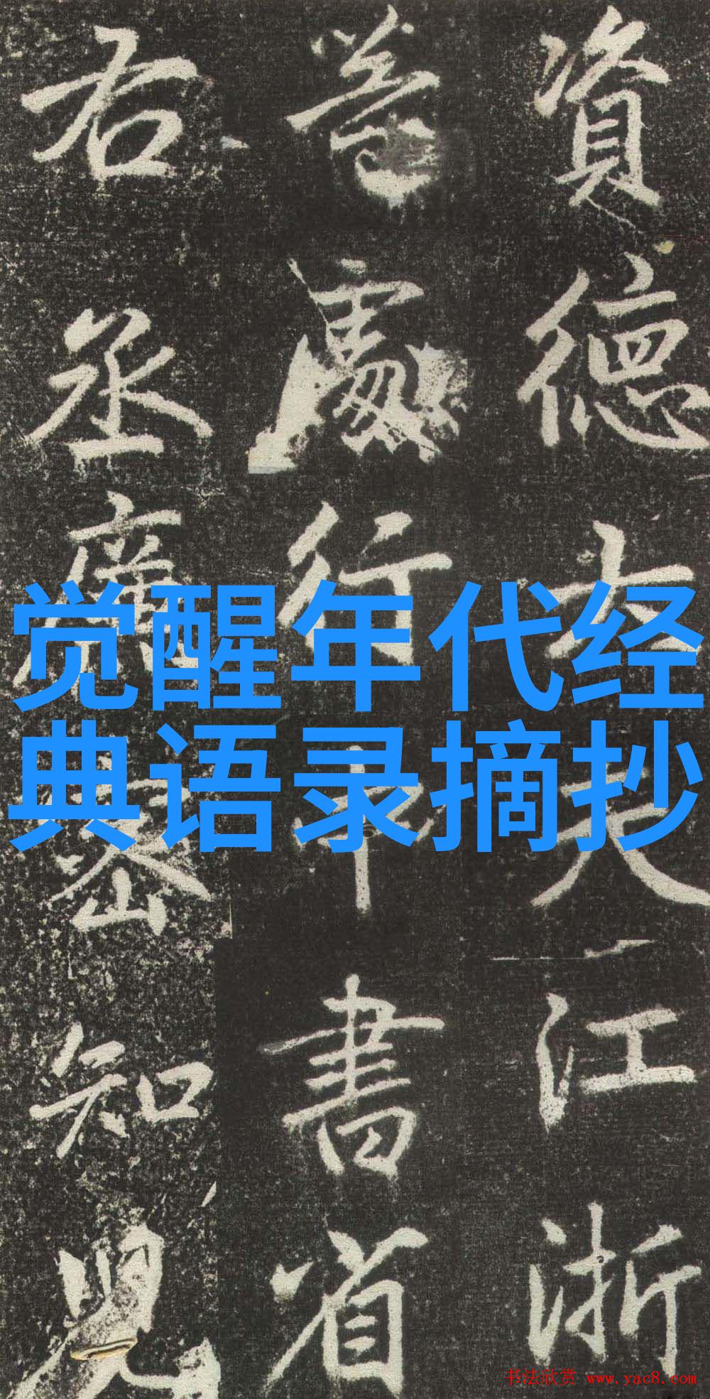 文字的力量王小波那些让人铭记的话语