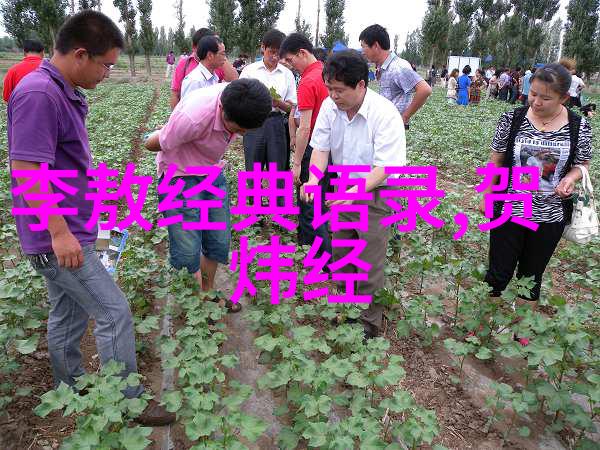 我的姥姥与友情的现代诗物品中的记忆