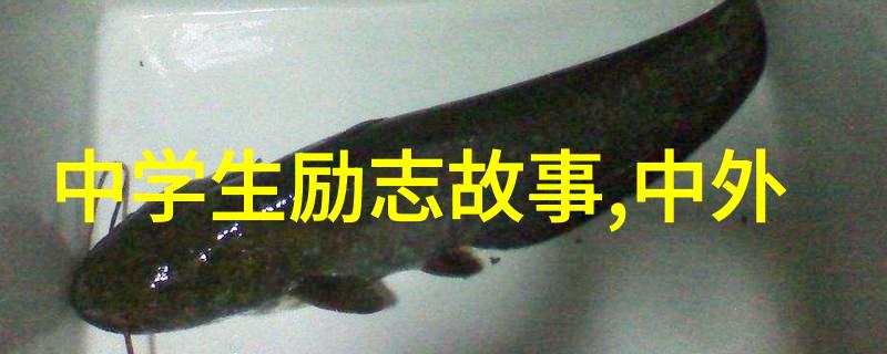 室友情温暖岁月的名言金句