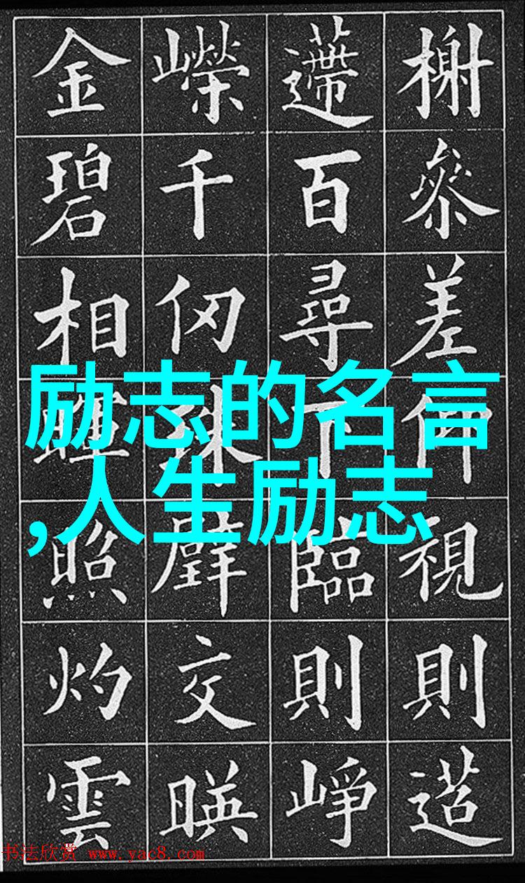 奋斗的画卷拼搏者在征途上的点滴记忆