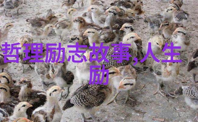 励志小故事简短正能量万通地产冯仑的辉煌起步之旅