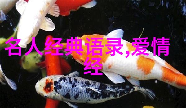 关于偶像的名人故事 - 李雷逆袭之王从零到英雄的传奇路程
