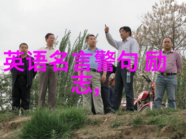 家庭大杂乱经典语录 - 家庭风暴中的智慧闪烁