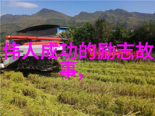 暴龙神古老传说中的火焰与智慧