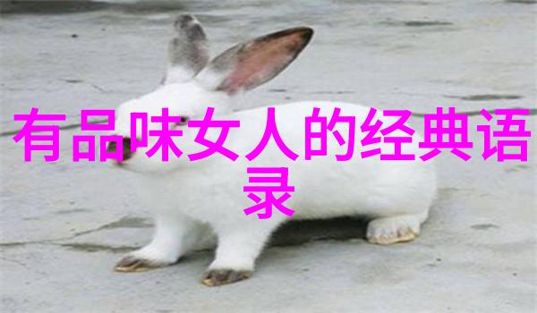韩国三级电影中的年轻护士角色探秘
