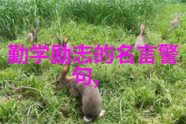 未来公公瞒着男友向我借钱怎么办要不要尝试搞好婆媳关系