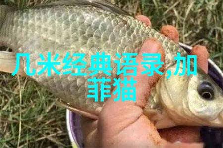 换一个角度换一种活法