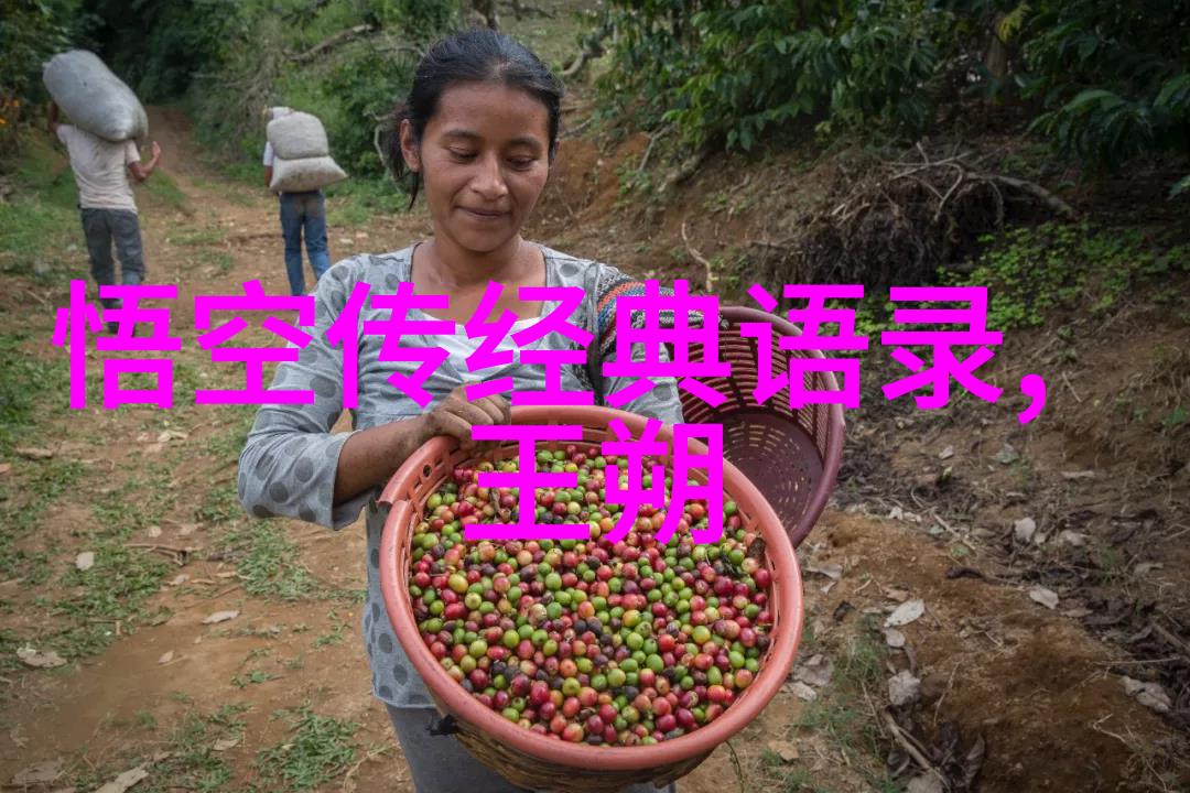 名人战胜困难励志故事-李健逆袭的钢琴师