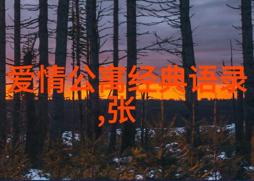 张爱玲经典语录文字的魅力与情感的深度