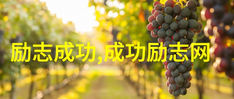 王小波经典语录我是如何没有成为一名大科学家的