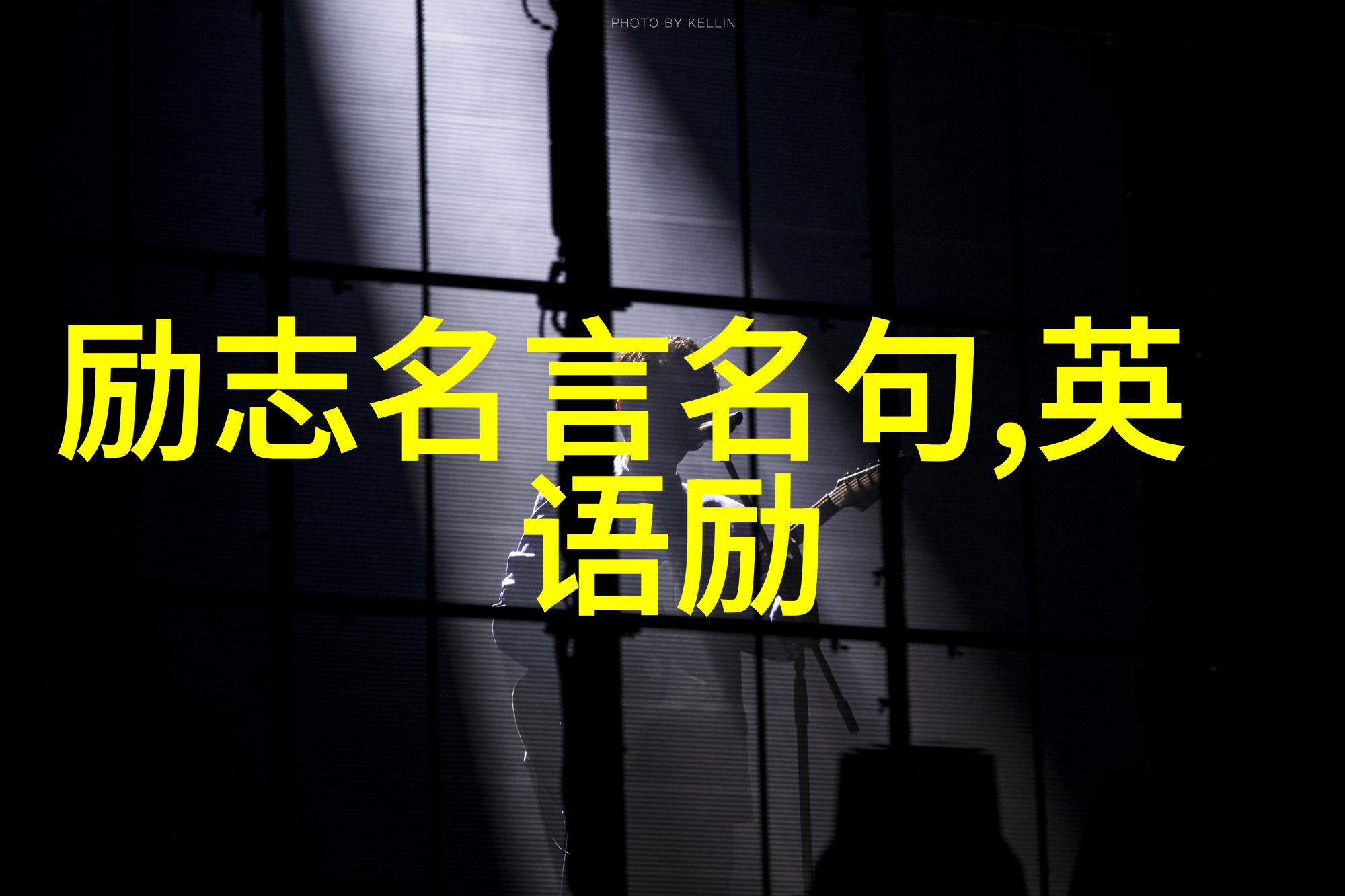 年轻才俊引领潮流Chinas Top Young Entrepreneurs荣获殊荣的人物篇章