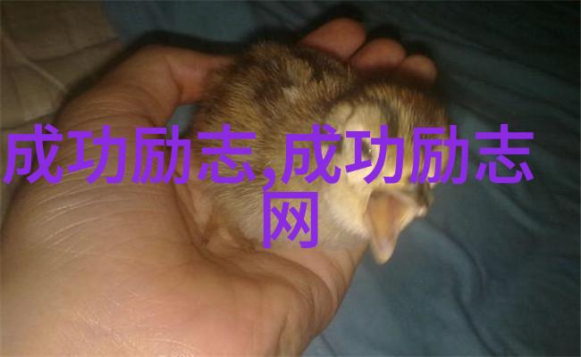 前任4经典语录情感深刻的告别与回忆