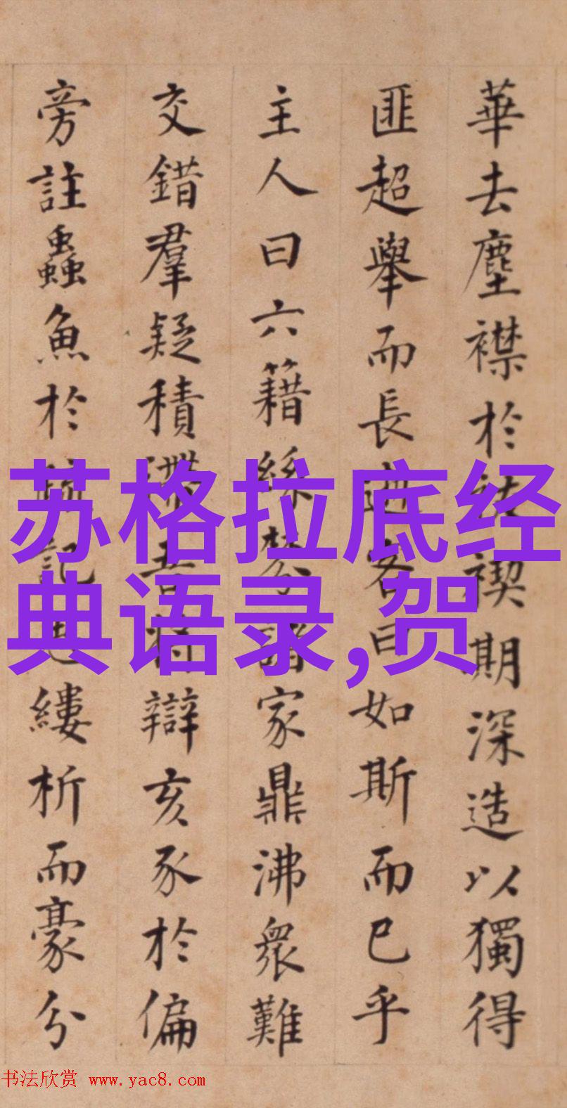 感动中国十位人物的故事与光芒