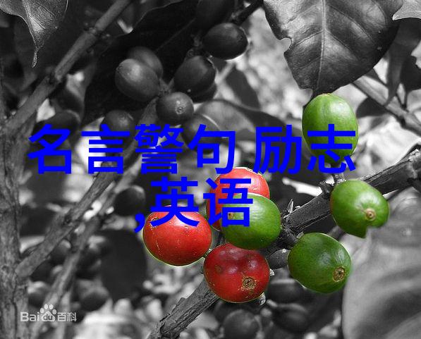 逆袭之旅高三生的学业奋斗与人生启示