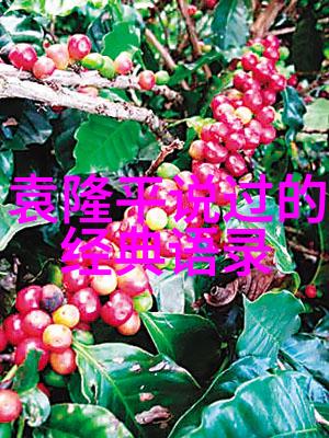 励志故事网我是怎么从零到英雄的一个普通人如何创办了励志故事网