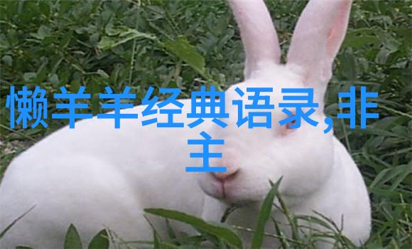 最深情的表白简短我的心意清晰