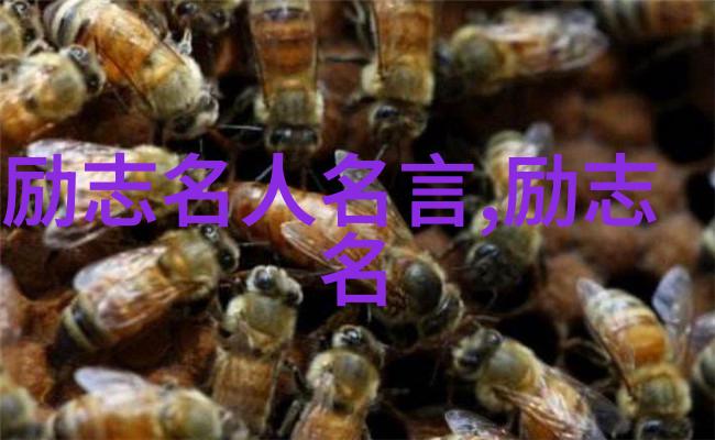 从分手到重燃爱火婚姻情感的心理疗程